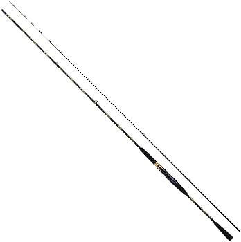 Amazon | ダイワ(DAIWA) 船竿 極鋭ヒラメ EX SS／MH－245